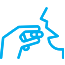 Swallow Icon